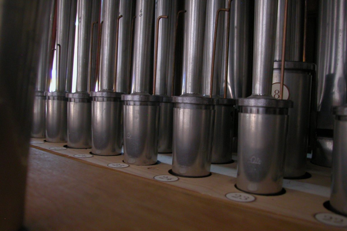 Detail of a Bassoon pedal pipe rank showing graduated scaling